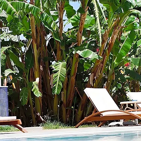 Hotel Naturist Angel Club Eleousa